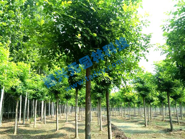 �c���鿴Ԕ����Ϣ���}����Ϟ ��x�Δ���2524